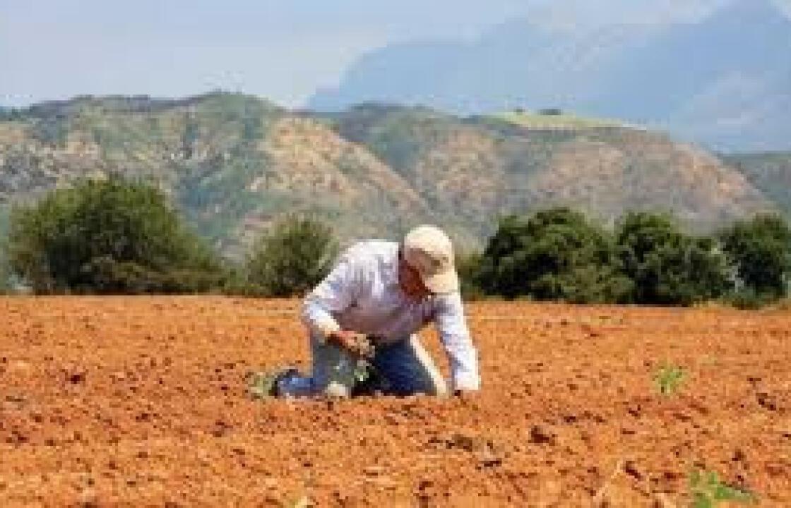 Ξεκινά η καταβολή 1.036.000 ευρώ στους Νέους Γεωργούς Νοτίου Αιγαίου.