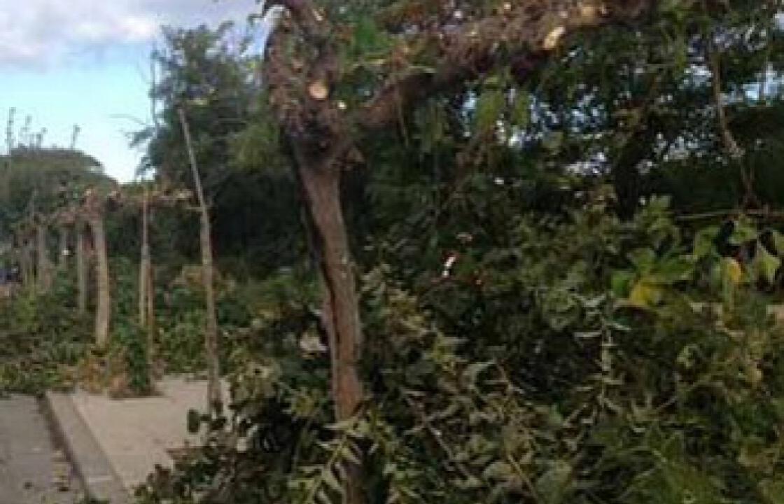Δείτε τις εργασίες που θα εκτελεστούν ανά Δημοτική Κοινότητα αυτή την εβδομάδα
