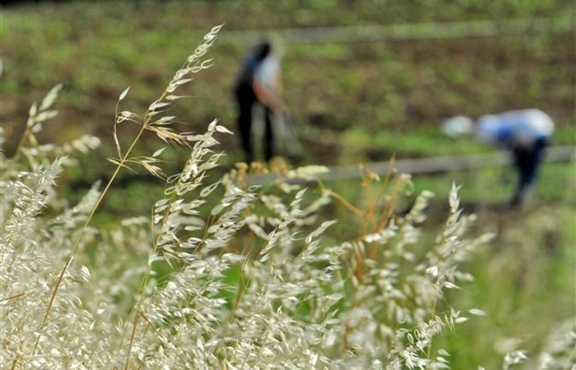 Eνημερωτική συγκέντρωση στην Κω για το Πρόγραμμα των Νέων Γεωργών