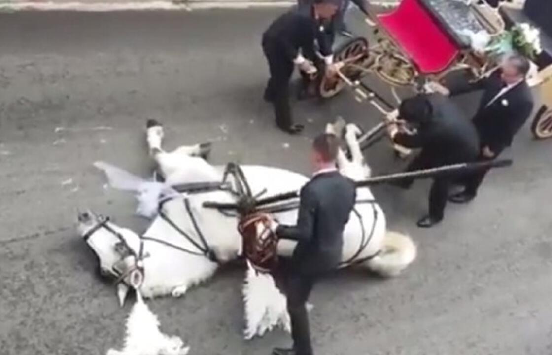 Κατέρρευσε άλογο που μετέφερε άμαξα με νύφη και γαμπρό