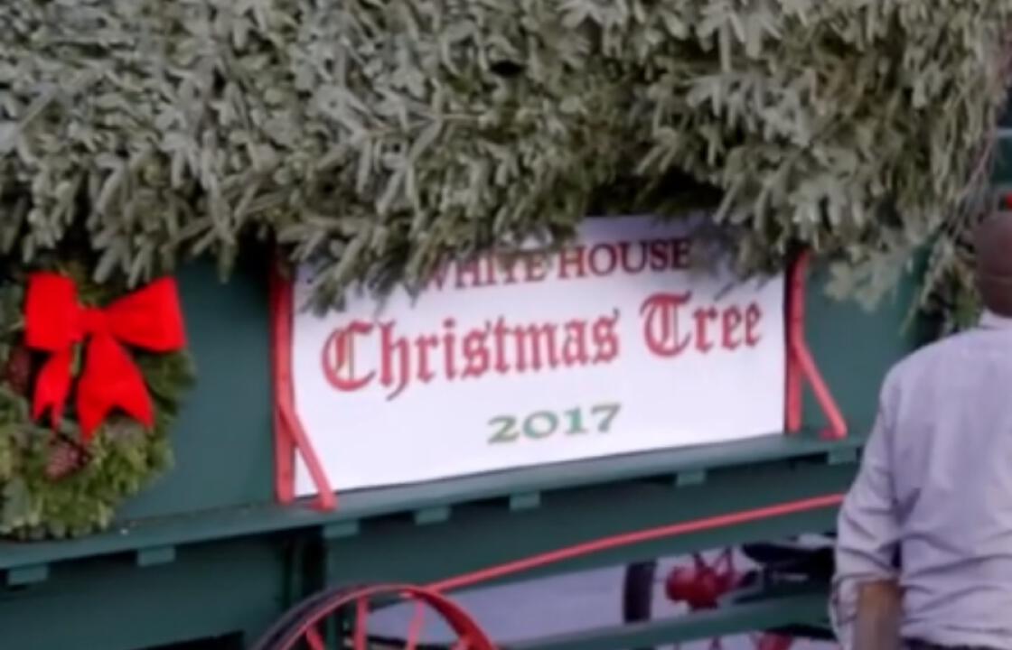 To χριστουγεννιάτικο δέντρο της Melania Trump χρειάστηκε γερανό για να μπει στο Λευκό Οίκο