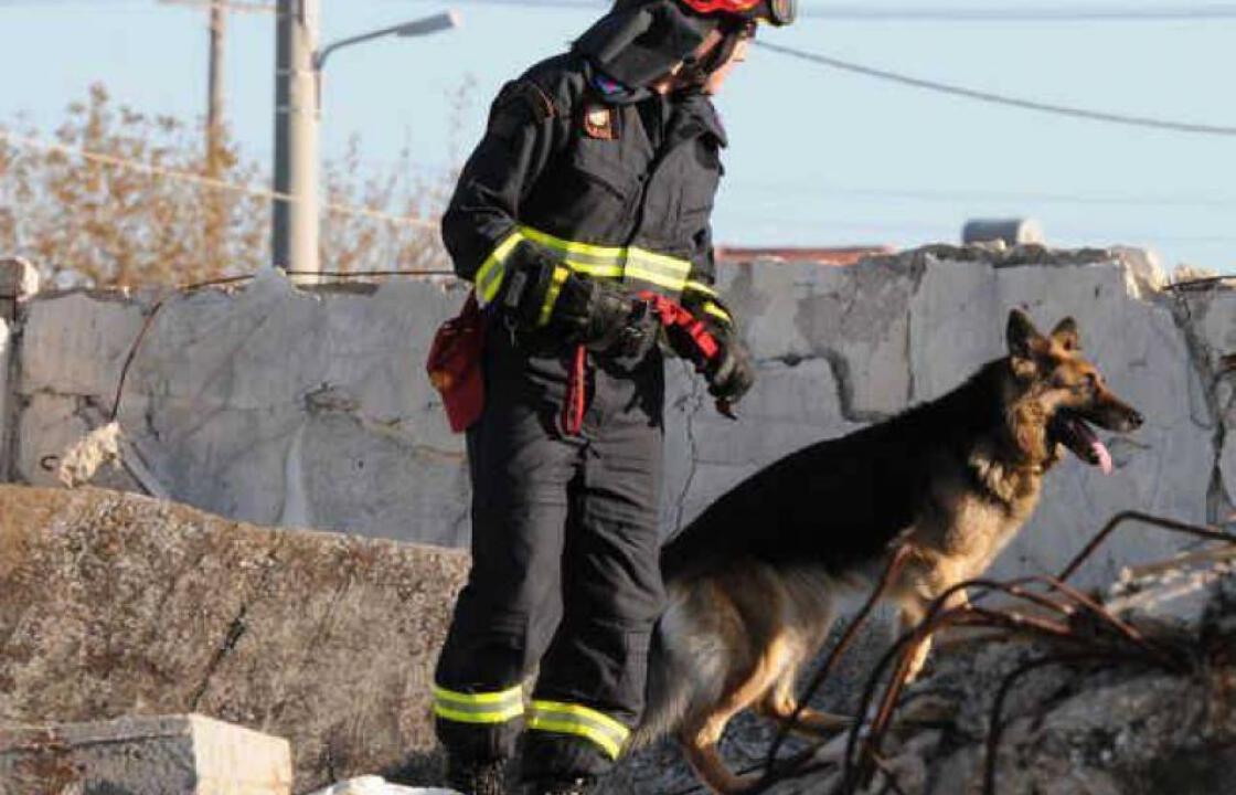 Έρχονται δύο άντρες της ΕΜΑΚ με διασωστικό σκύλο για τον εντοπισμό του 21χρονου στην Κάλυμνο