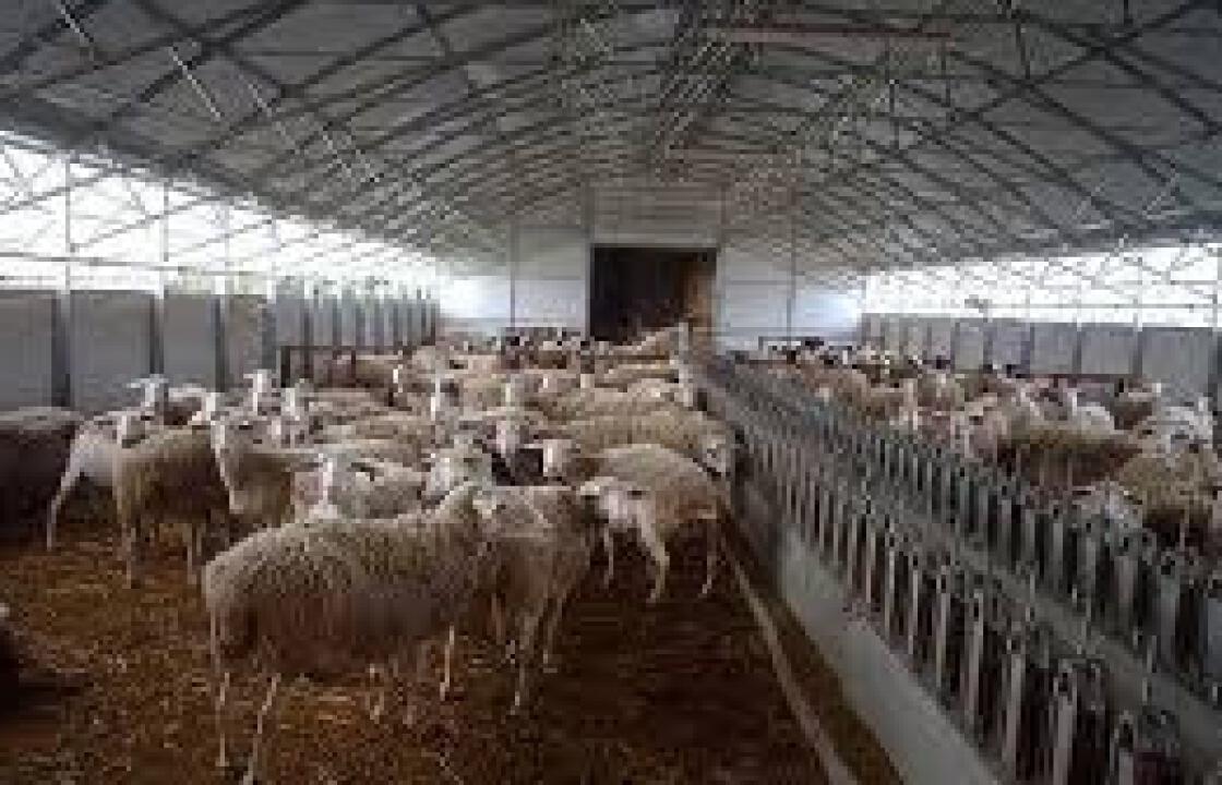 Διεύθυνση Αγροτικής Οικονομίας Δωδεκανήσου: Έως 30-6-2019 οι αιτήσεις για την άδεια διατήρησης κτηνοτροφικών εγκαταστάσεων