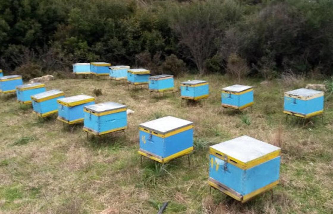 Έκλεψαν τις κυψέλες μελισσοκόμου στη Ρόδο