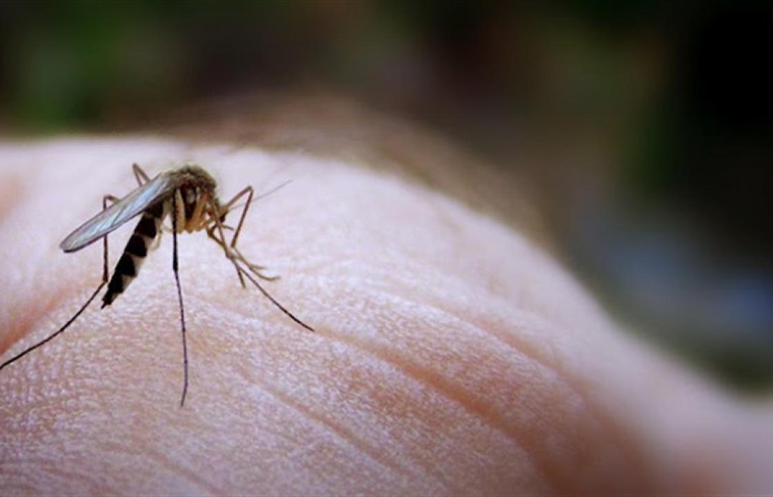 ΚΕΕΛΠΝΟ: Προφυλαχθείτε από τα κουνούπια – Προφυλαχθείτε από τον ιό του Δυτικού Νείλου