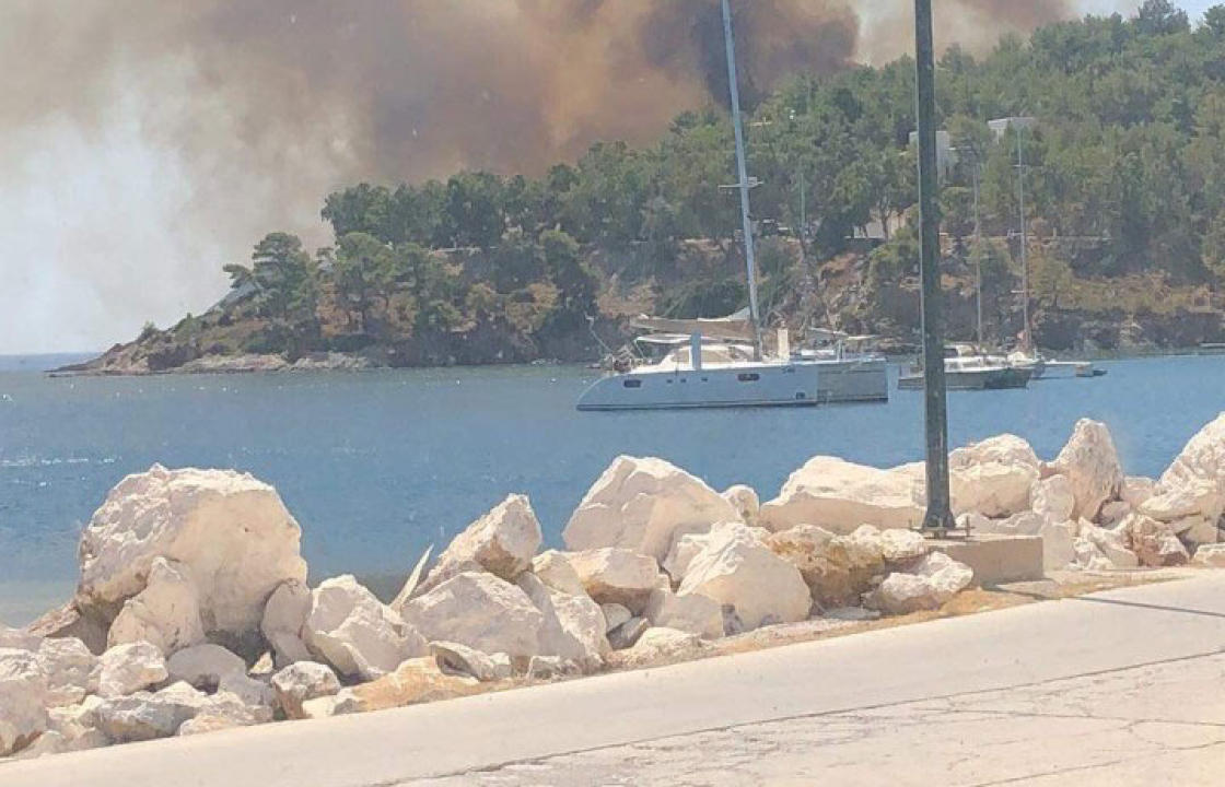 Συνελήφθη 22χρονος αλλοδαπός για εμπρησμό στη Λέρο-Αποτεφρώθηκαν πάνω 40 στρέμματα δασικής πευκώδους έκτασης