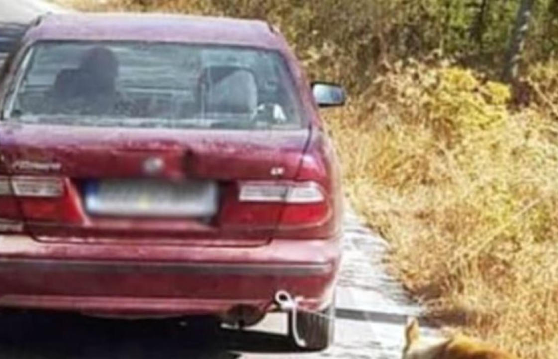Κτηνωδία στην Κρήτη: Συνελήφθη ο 73χρονος που έσερνε σκύλο με το αυτοκίνητό του