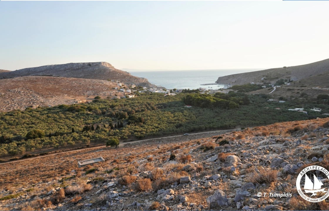 Ινστιτούτο Θαλάσσιας Προστασίας Αρχιπέλαγος: Απαξίωση των Ελληνικών Νησιών - Ψέριμος