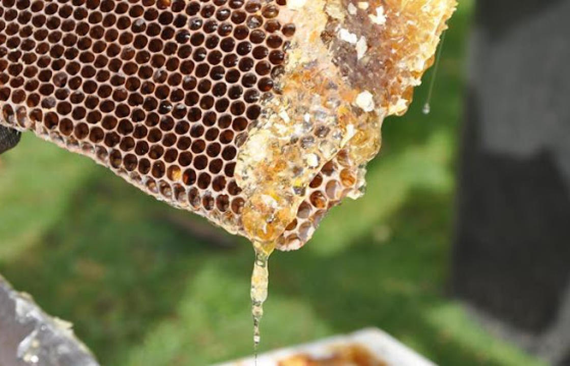 ΜέΡΑ25 Δωδεκανήσου: Ανάγκη για άμεση λήψη μέτρων στήριξης των μελισσοκόμων της Κω
