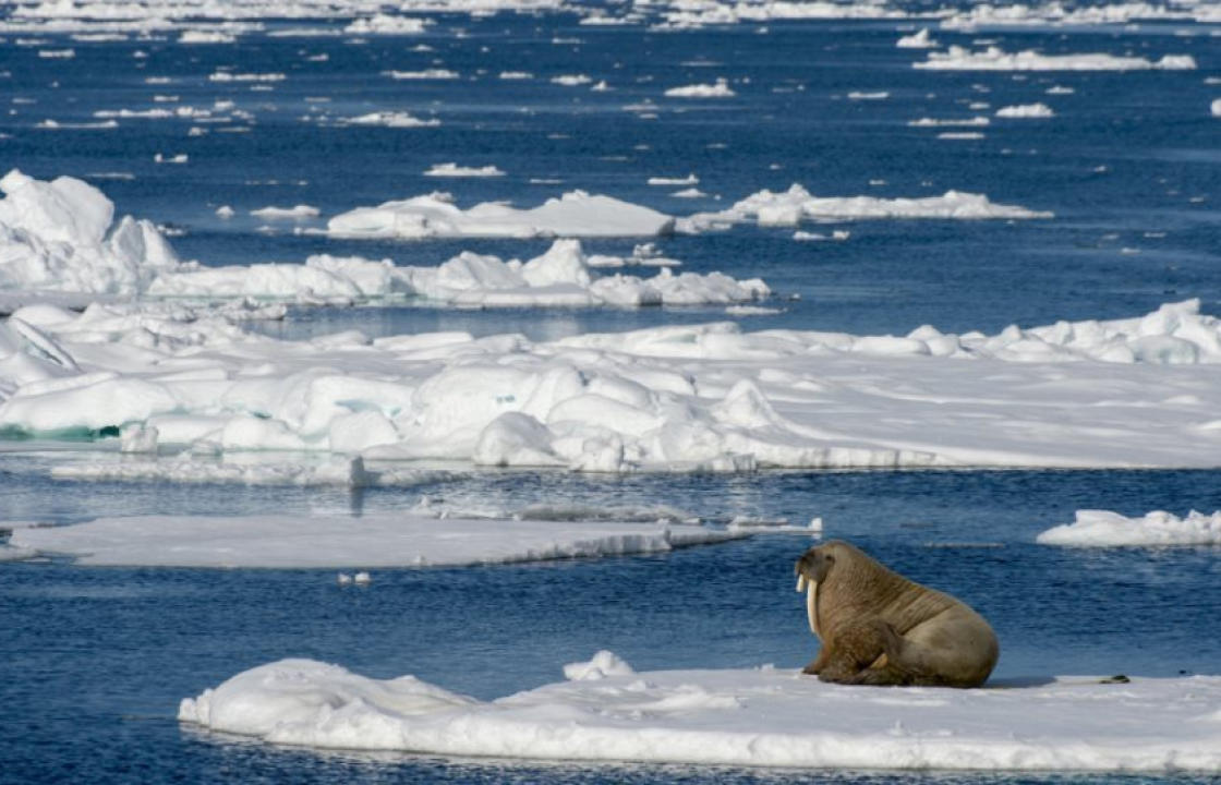 Κλιματική αλλαγή: Φέτος έλιωσε η μεγαλύτερη ποσότητα πάγου της Αρκτικής από το 1979