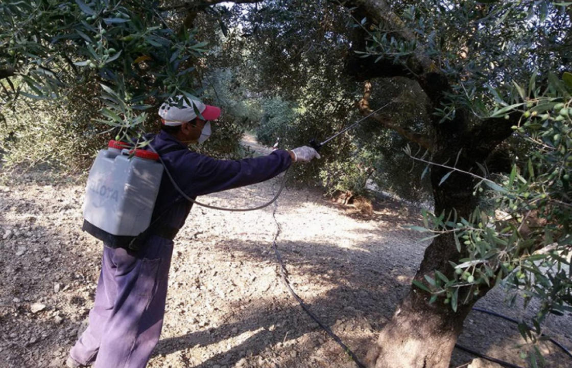 Έναρξη δολωματικών ψεκασμών δακοκτονίας στα νησιά Ρόδο, Κώ, Αστυπάλαια, Τήλο και Κάσο