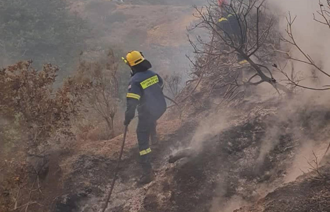 Φωτιά στην περιοχή Πόρτες το απόγευμα της Πέμπτης - ΦΩΤΟ