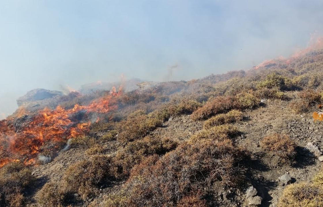 1.196 στρέμματα κάηκαν στα Δωδεκάνησα από 1η Μαΐου έως και 31 Οκτωβρίου του 2020