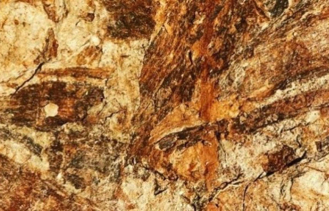 Σπάνια απολιθώματα και πετρώματα της Κω θα εκτεθούν στο 1ο Γυμνάσιο Κω, από τη συλλογή του Κώου φοιτητή,  Αντώνη Αβρίθη.