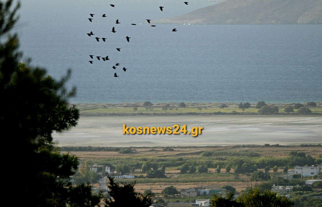 Την έρευνα της φήμης της Κω, τη δημιουργία νέας ιστοσελίδας και την παραγωγή προωθητικών βίντεο και φωτογραφιών, αποφάσισε ο Δήμος Κω