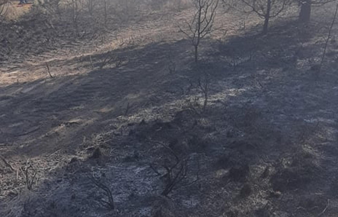 Ενημέρωση της Πολιτικής Προστασίας του Δήμου Κω, για πυρκαγιά μικρής έκτασης στο Μαστιχάρι