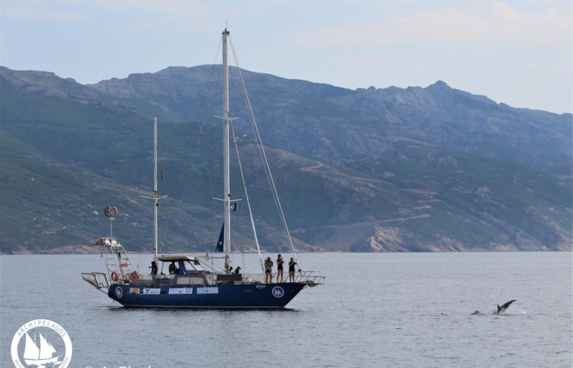 Σημαντικοί Πληθυσμοί Κητωδών στο Αιγαίο