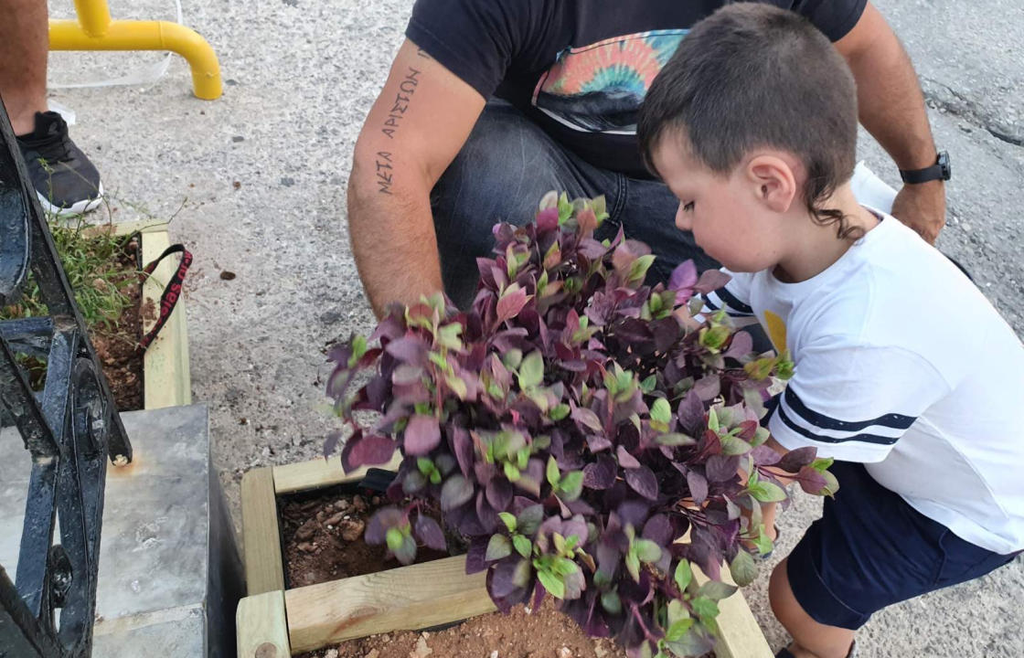 Δήμος Χάλκης: &quot;Νησιωτικοί Λουλουδόκηποι&quot;