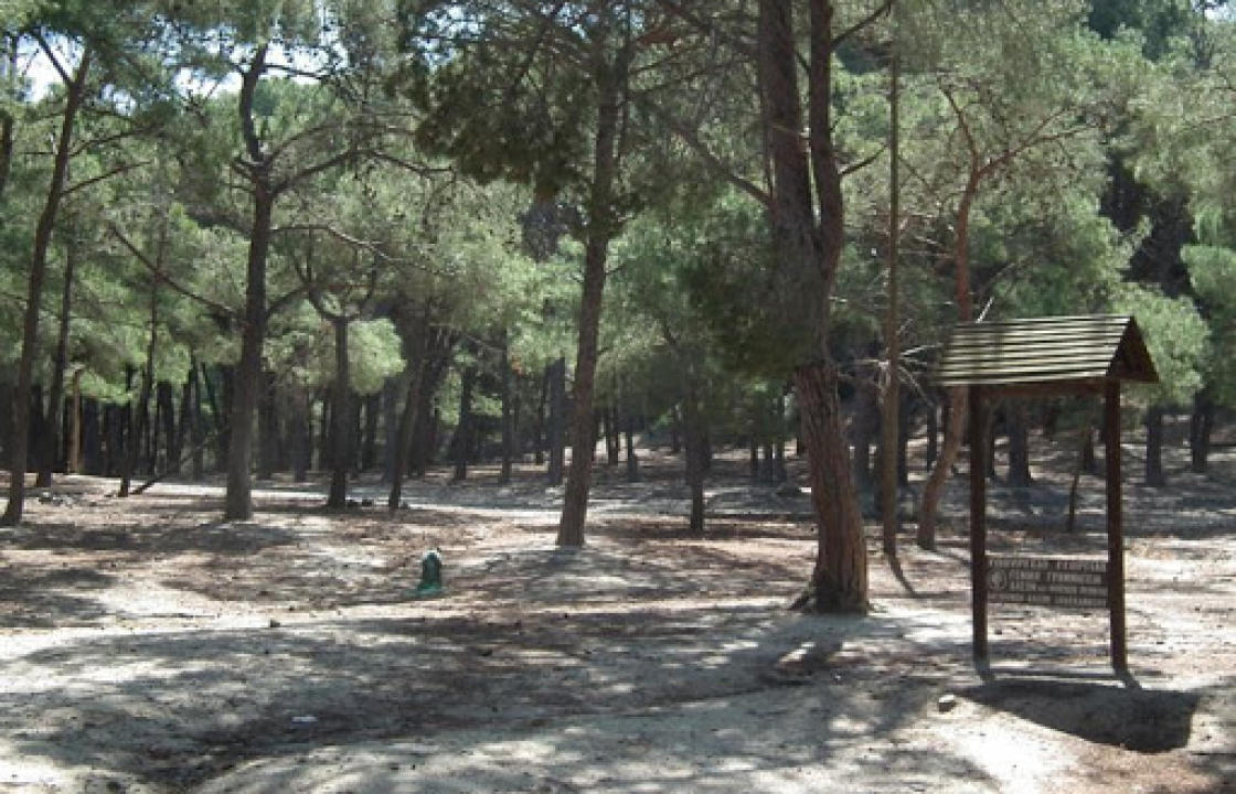 Παράταση απαγόρευσης κυκλοφορίας εντός περιοχών NATURA, Δασών, Εθνικών Δρυμών, Αισθητικών Δασών και αλσών για όλη τη διάρκεια της ημέρας