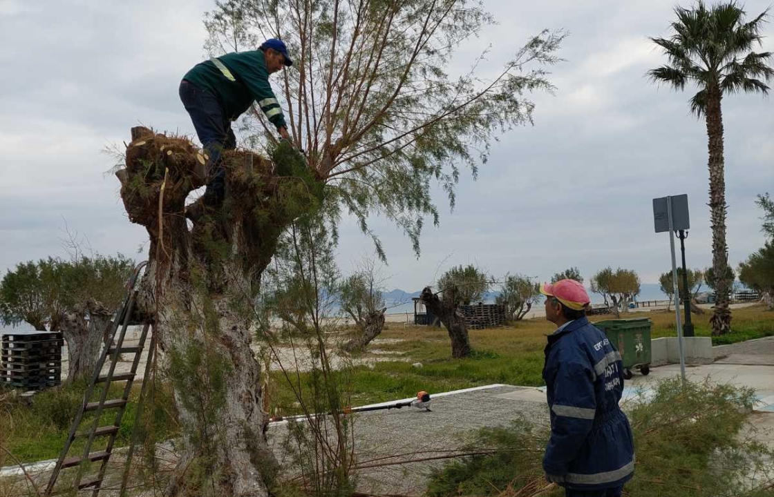 Δημοτική Κοινότητα Ασφενδιού: Εργασίες καλλωπισμού και κλαδεύσεις δενδροστοιχιών, στον δρόμο που συνδέει το Τιγκάκι με το Μαρμάρι