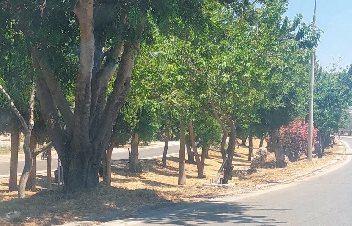 Μ. Γιωργαλλής: Η Δημοτική κοινότητα Ασφενδιού πραγματοποιεί εργασίες αποψίλωσης χόρτων και αποκομιδή -απομάκρυνση βαρέων αντικειμένων