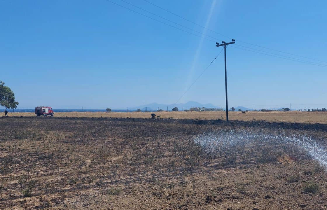 Μικρής έκτασης φωτιά σε χωράφι στην Καρδάμαινα, το μεσημέρι της Δευτέρας