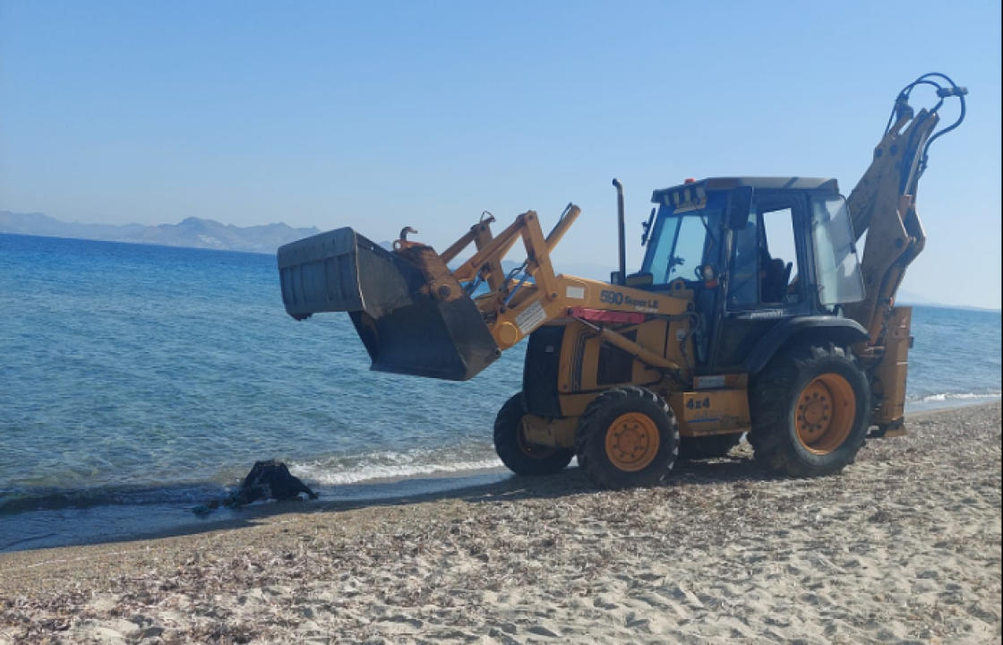 Εντοπισμός και απομάκρυνση νεκρού κατσικιού από την παραλία στο Τιγκάκι της Κω