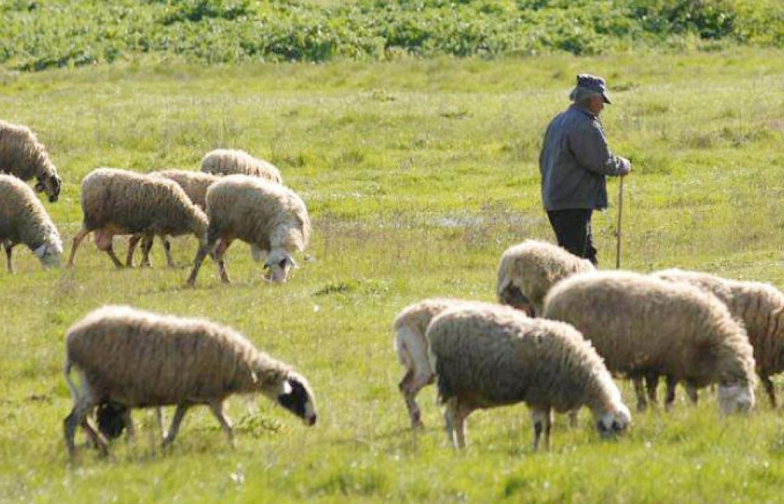 Ανοίγει σήμερα 19 Δεκεμβρίου, η πλατφόρμα των δηλώσεων για την πληρωμή έκτακτης ενίσχυσης 89 εκατ. ευρώ σε κτηνοτρόφους