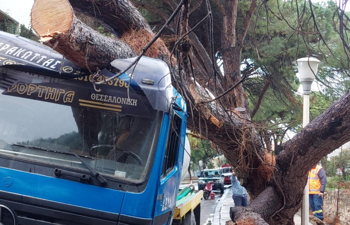 Τεράστιο πεύκο πλάκωσε βυτιοφόρο της ΔΕΥΑΚ - Γλίτωσε από θαύμα ο οδηγός