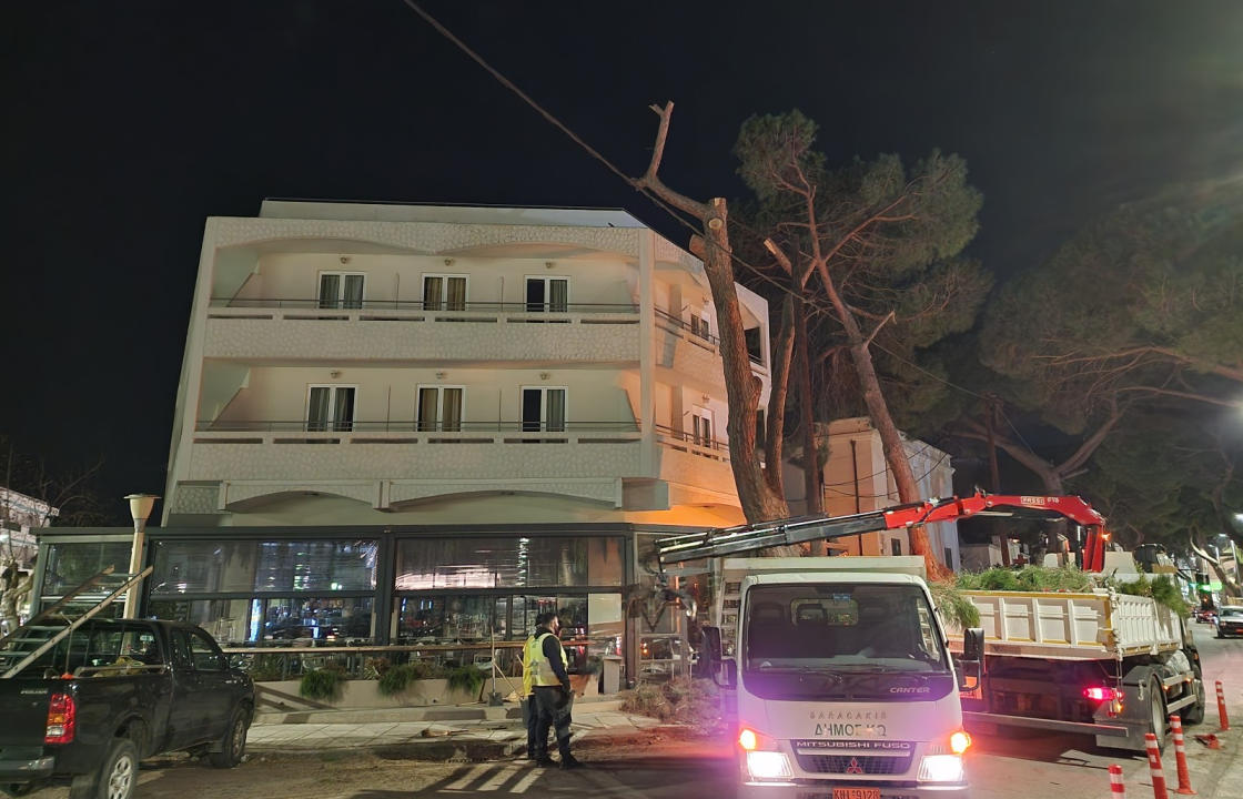 Κλαδεύτηκε το τεράστιο πεύκο στη διασταύρωση Ελ. Βενιζέλου &amp; Κοραή - Τη Δευτέρα η απομάκρυνσή του. Δύο φορές διεκόπησαν οι εργασίες λόγω διαμαρτυριών από πολίτες