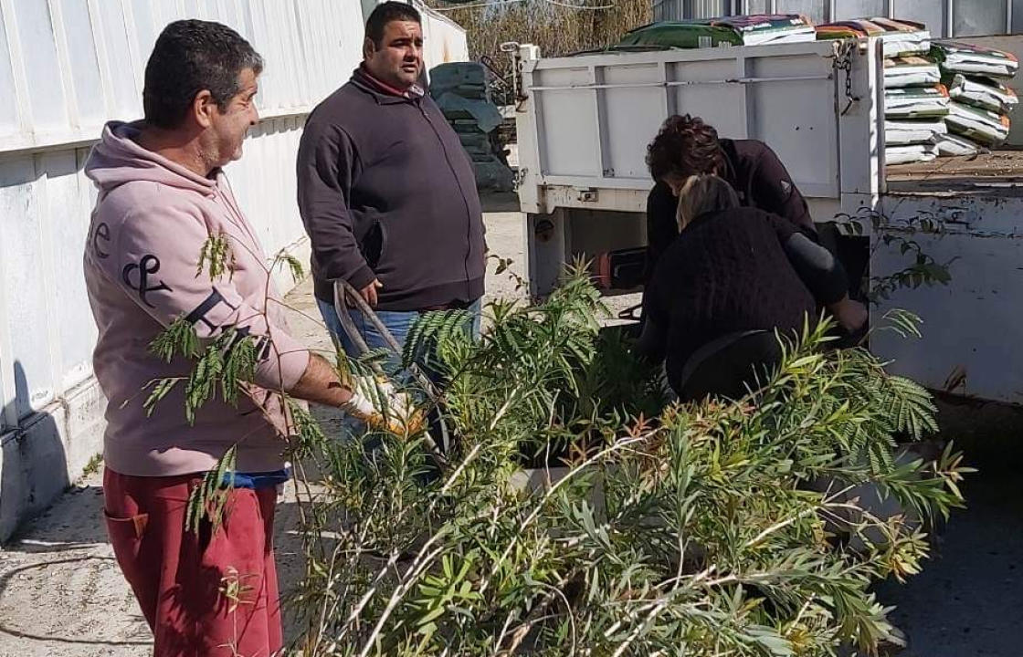 Ντόμινο παραδόσεων από το Περιφερειακό Φυτώριο Νοτίου Αιγαίου