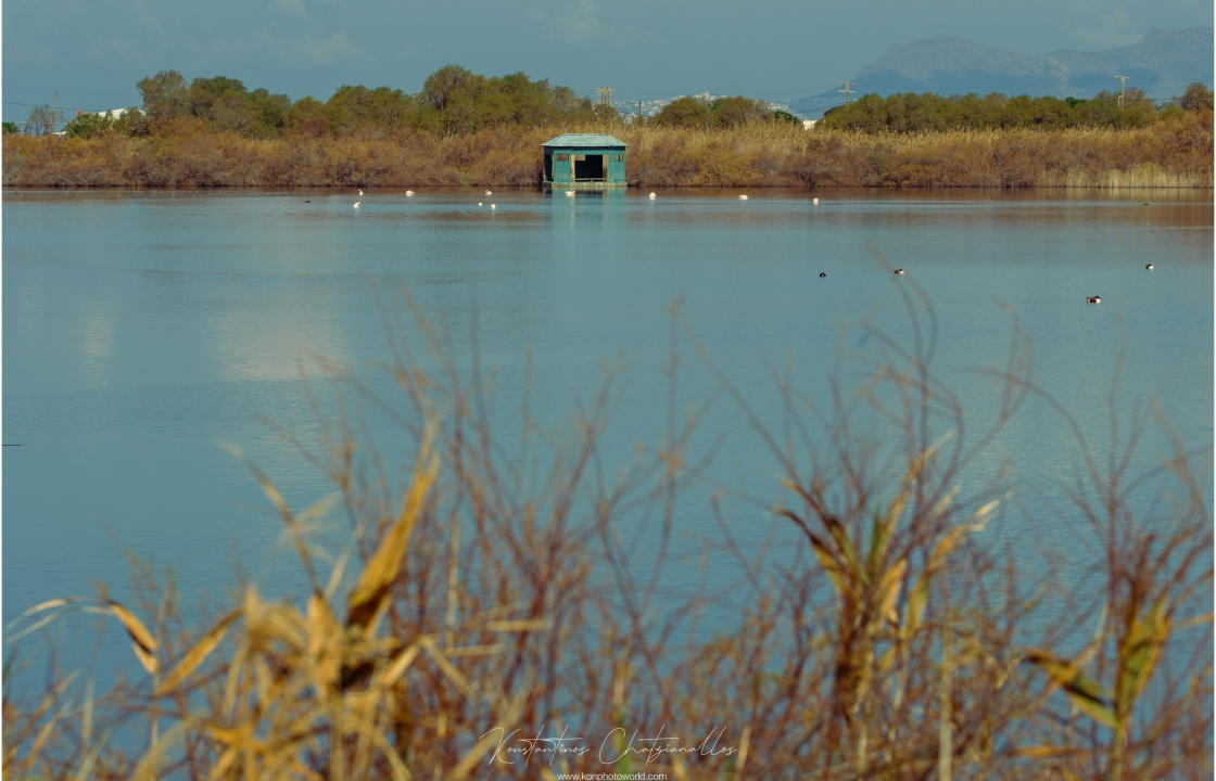 Κ. Χατζηάμαλλος για τις περιοχές &quot;NATURA 2000&quot; στην Κω: Στέκομαι μουδιασμένος και έκπληκτος, βλέποντας τη συνεχιζόμενη χαρακτηριστική αδιαφορία των τοπικών αρχών