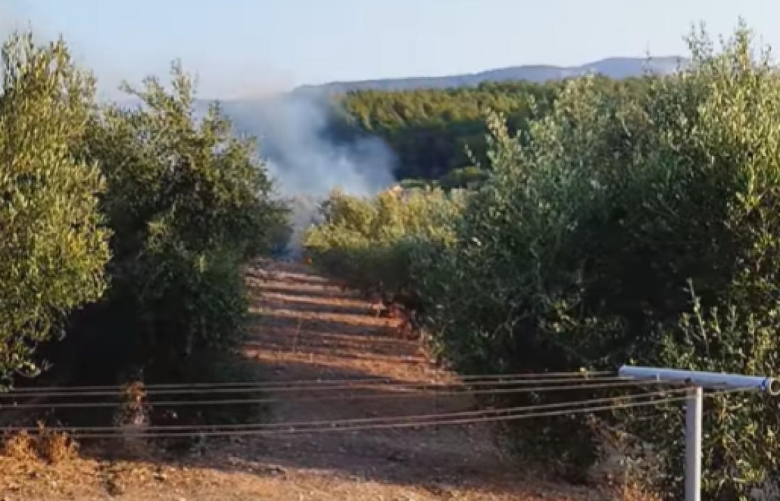 Συνελήφθη άνδρας για εμπρησμό στην Κω - Πέταξε αναμμένο τσιγάρο σε αγροτική έκταση στο Πλατάνι