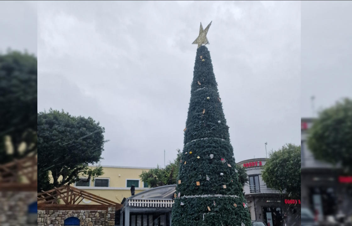 Τοποθετήθηκε το χριστουγεννιάτικο δέντρο στο λιμάνι της Κω - Την Πέμπτη 7 Δεκεμβρίου το άναμμα