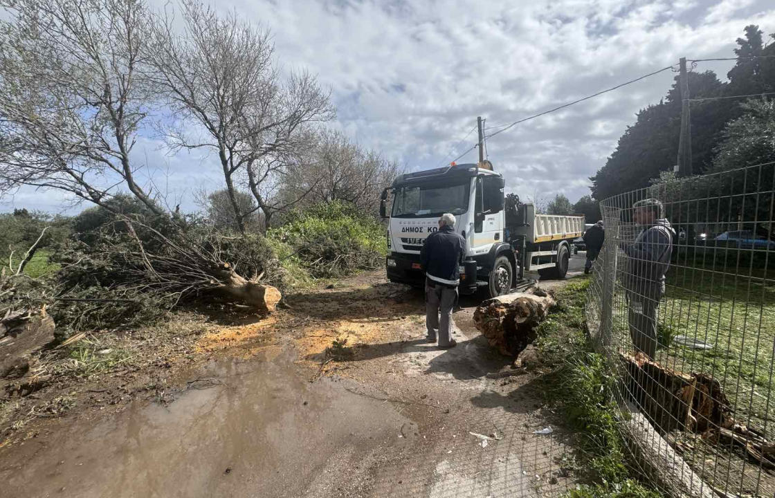 Προβλήματα από την κακοκαιρία το πρωί της Τρίτης στην Κω - Δείτε φωτογραφίες