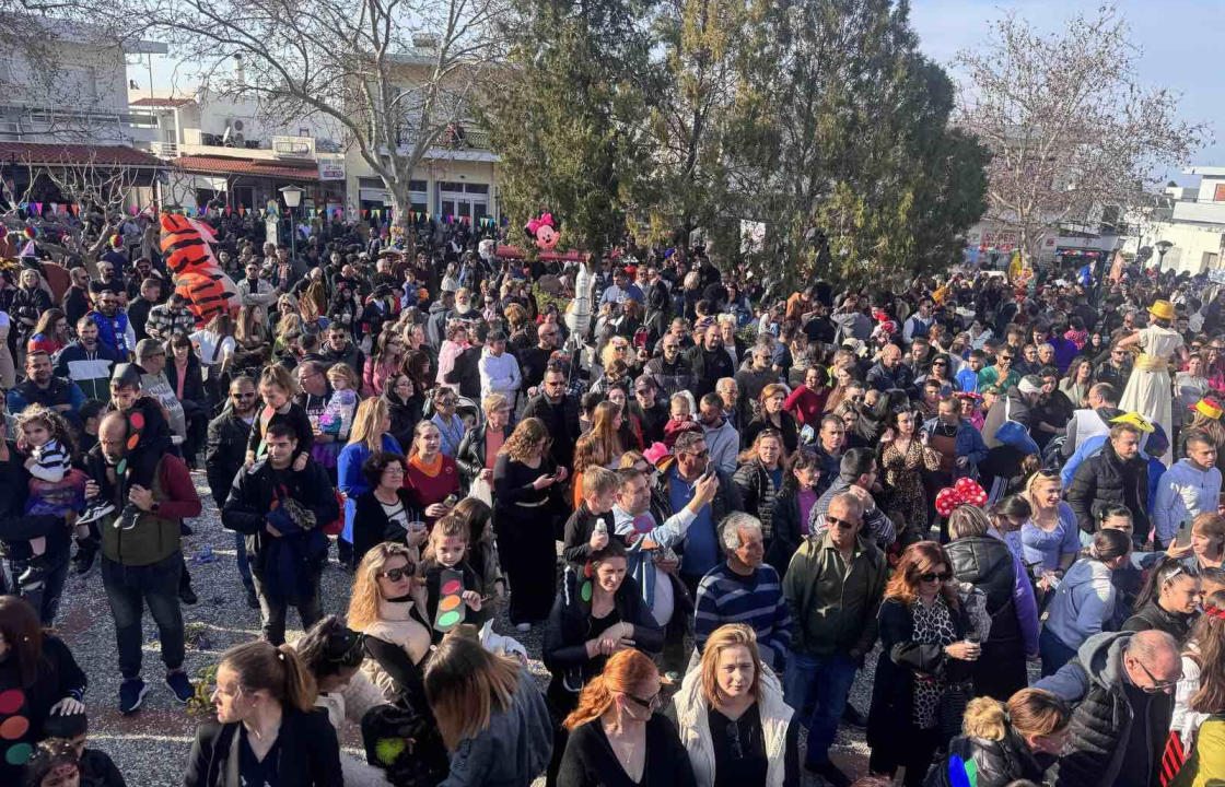 Ευχαριστήριο του Μ.Π.Ε.Σ. ΑΠΕΛΛΗΣ για το Πυλιώτικο Καρναβάλι