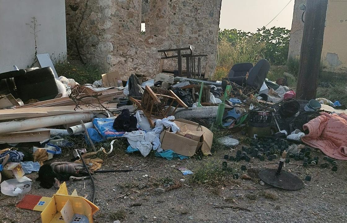 Μ. Γιωργαλλής: ️Η πανέμορφη Ζιά μας και το Ορεινό Ασφενδιού στο έλεος της Αδιαφορίας