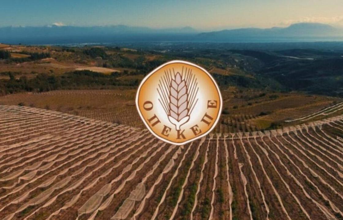 ΟΠΕΚΕΠΕ: Πληρωμή άνω των 10 εκατ. ευρώ για τη στήριξη της τοπικής παραγωγής σε νησιά του Αιγαίου