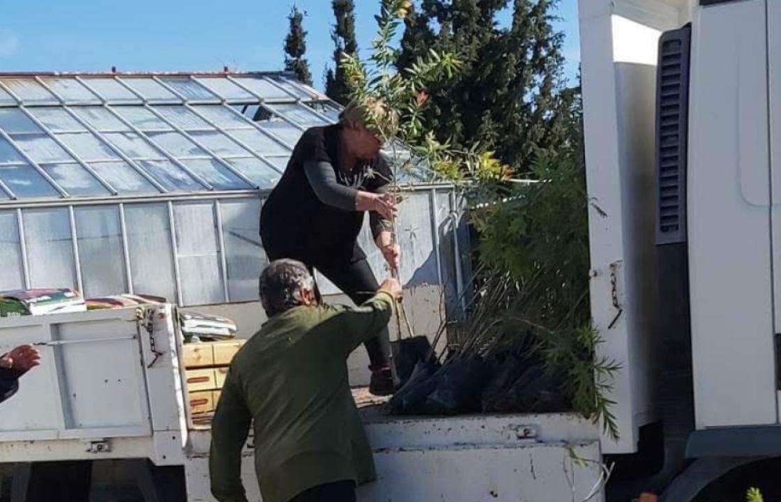 Η παραγωγική δραστηριότητα στο περιφερειακό φυτώριο Νοτίου Αιγαίου