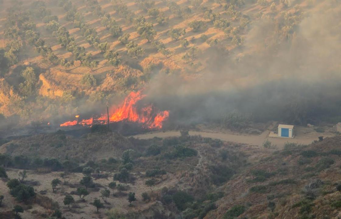 Από σήμερα και για 15 ημέρες αιτήσεις πυρόπληκτων αγροτών Δήμου Κω