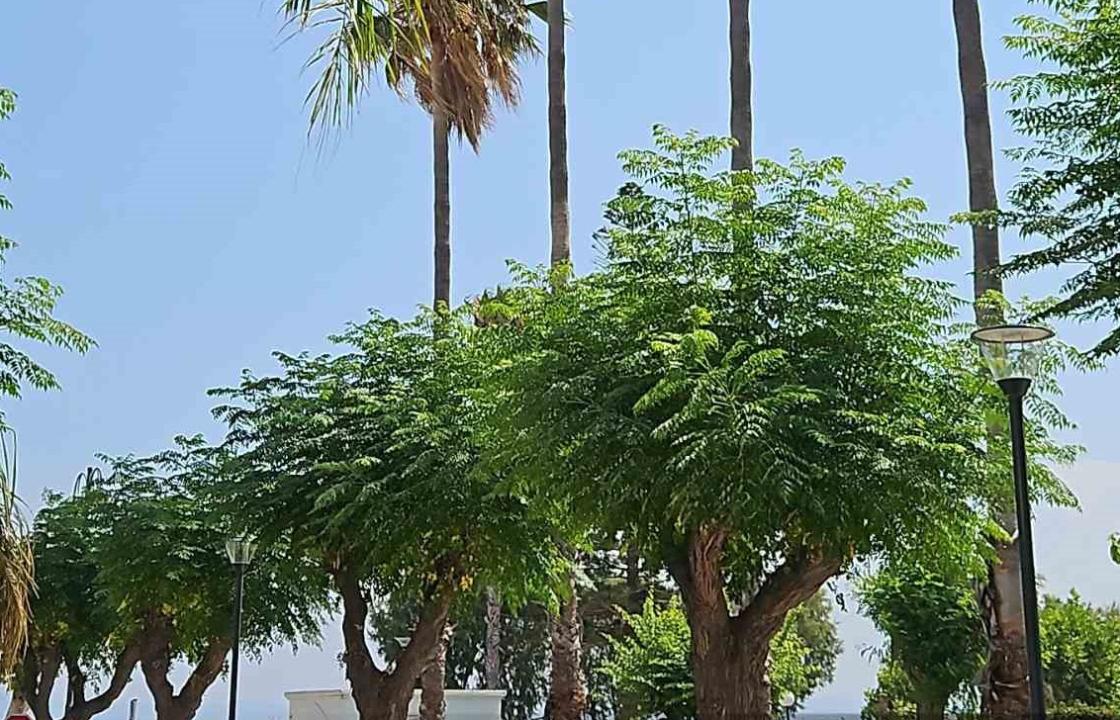 Δήμος Κω: Σε λειτουργία βρίσκεται από σήμερα, Παρασκευή 5 Ιουλίου, το νέο δίκτυο ηλεκτροφωτισμού στην οδό Φαιναρέτης
