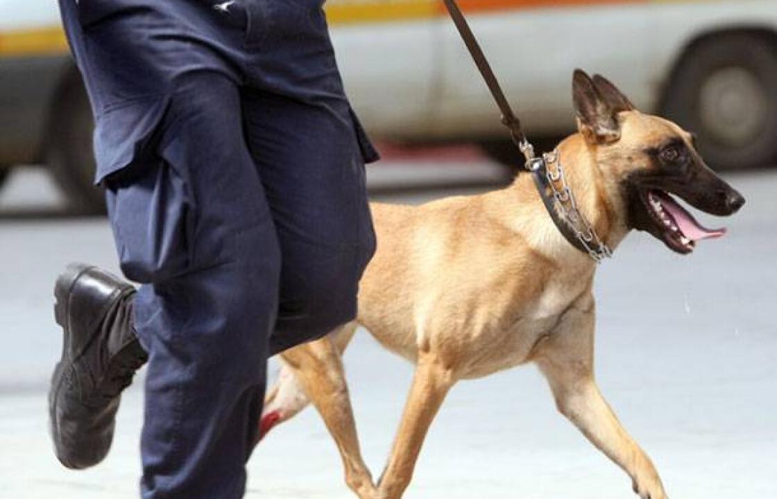Έπιασαν 21χρονο για ναρκωτικά στο λιμάνι της Κω με τη συνδρομή αστυνομικού σκύλου