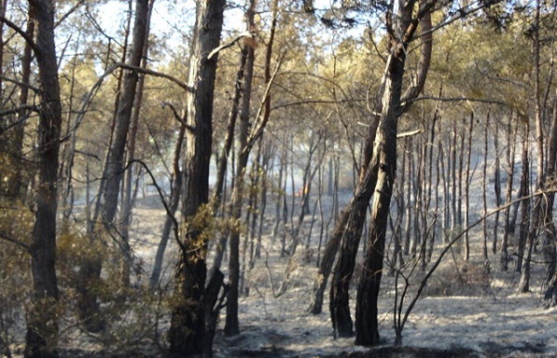 Υπό πλήρη έλεγχο η πυρκαγιά στη Ρόδο. Στ. Παραλούσης: αποφεύχθηκε μια μεγάλη καταστροφή