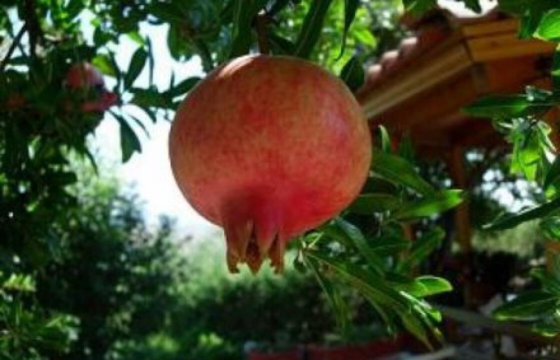 1η Σεπτεμβρίου.Το έθιμο της αρχιχρονιάς στην Κω και τα υπόλοιπα Δωδεκάνησα